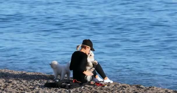 Menton França Dezembro 2018 Mulher Loira Bonita Com Dois Cães — Vídeo de Stock