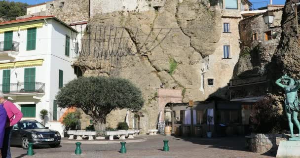 Roquebrune Cap Martin Γαλλία Φεβρουαρίου 2019 Αιωνόβια Ελιά Στην Πλατεία — Αρχείο Βίντεο