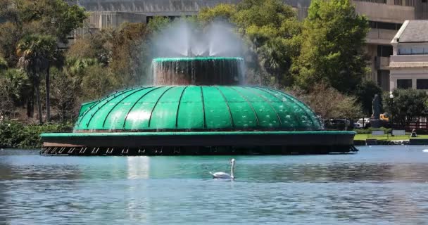 イオラ湖の大きな噴水のある白い白鳥 ダウンタウンオーランド フロリダ州 の公共公園 — ストック動画