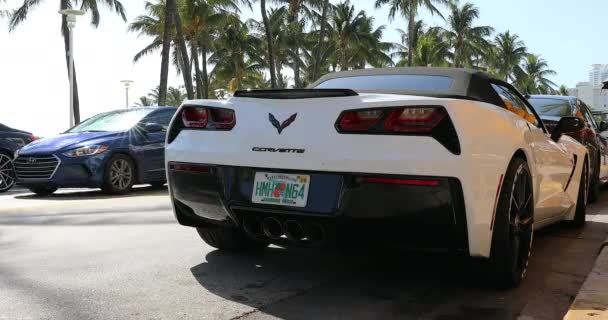マイアミ フロリダ州 アメリカ合衆国 2019 ホワイトシボレーコルベット Z06 コンバーチブル リアビュー マイアミビーチの路上に駐車 オーシャンドライブ — ストック動画