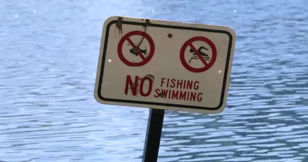 Nenhuma Pesca Nenhum Sinal Natação Lago Eola Parque Público Centro — Vídeo de Stock