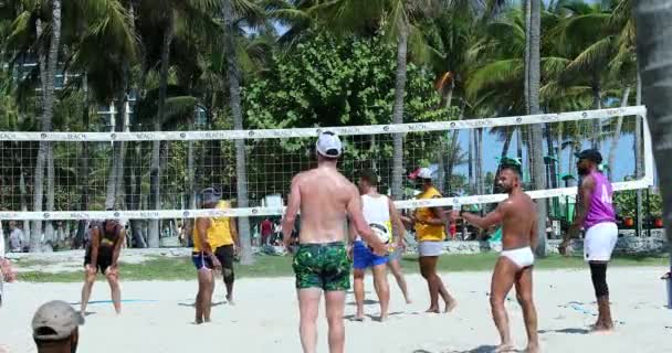 Miami Florida Usa Februari 2019 Unga Atletiska Män Spela Beachvolleyboll — Stockvideo