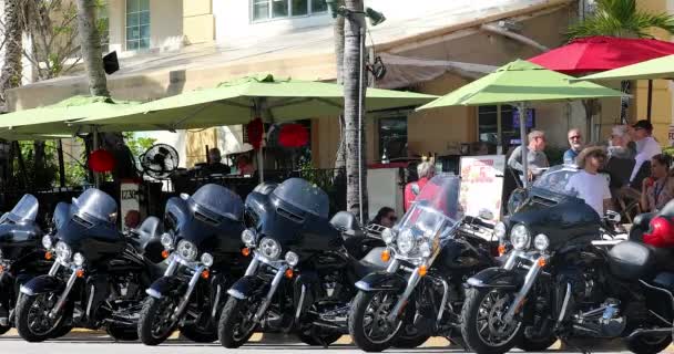 Miami Florida Usa Února 2019 Motocykly Harley Davidson Zaparkovaný Restaurace — Stock video