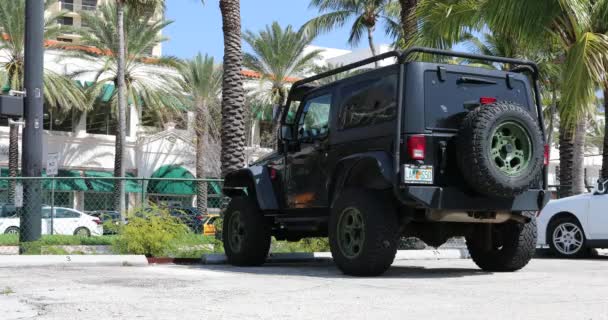 Майамі Флорида Сша Лютого 2019 Чорний Jeep Wrangler Задній Вид — стокове відео