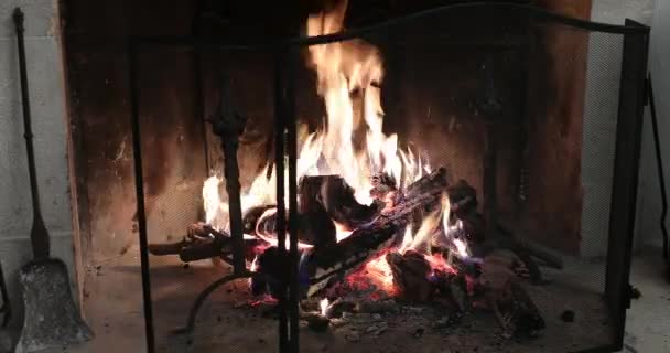 Incendie dans la cheminée antique dans le vieux château français, vue rapprochée - Vidéo DCi 4K 