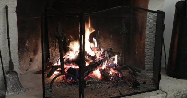 Incendie dans la cheminée antique dans le vieux château français, vue rapprochée - Vidéo DCi 4K 