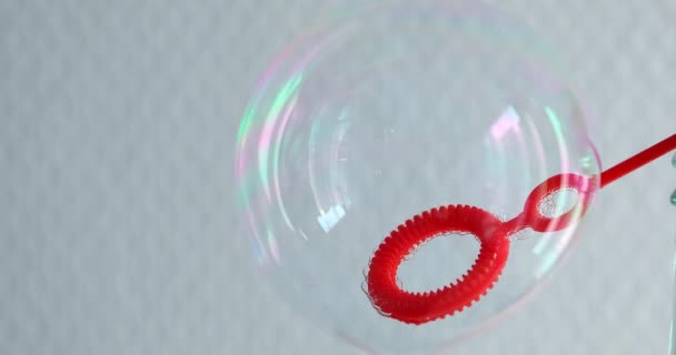 Macro Bolha Colorida Sabão Com Ventilador Vermelho Bolha Fundo Branco — Vídeo de Stock