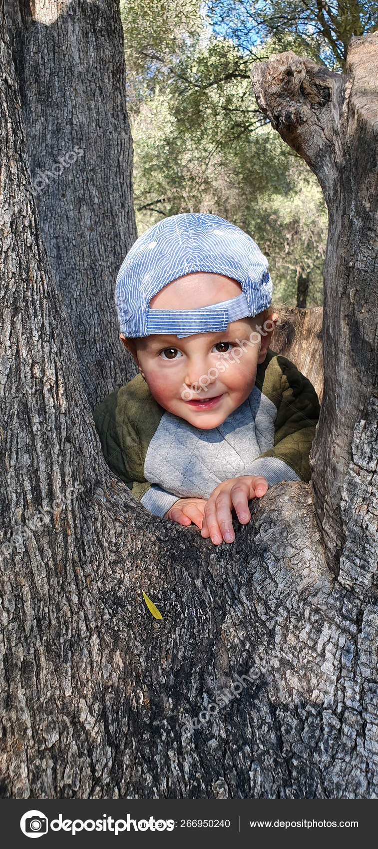 Mignon Petit Bebe Garcon Escalade Un Arbre Image Libre De Droit Par Bensib C Mignon Petit Bebe Garcon Escalade Un Arbre Image Libre De Droit Par Bensib C