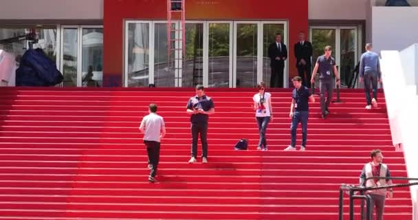 Cannes France May 2019 Red Carpet Stairway Palais Des Festivals — Stock Video