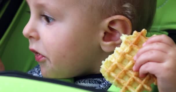 かわいい18ヶ月 1歳のブロンドの男の子は彼のベビーカーでワッフルを食べます クローズアップポートレートビュー マクロショット Dci 4K解像度 — ストック動画