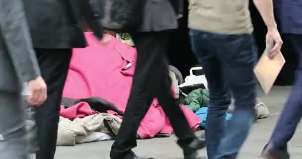 Londýn Spojené Království Květen 2019 Bezdomovec Jeho Pes Pokrytý Přikrývkou — Stock video