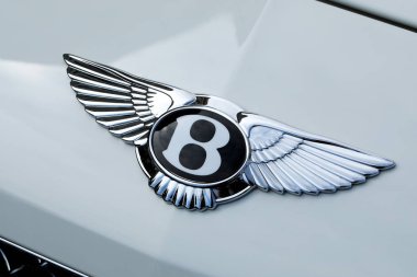 Bentley Kanatlı B Logo Makro Shot