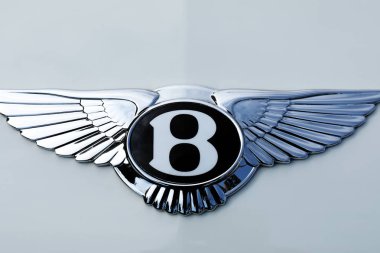 Bentley Kanatlı B Logo Makro