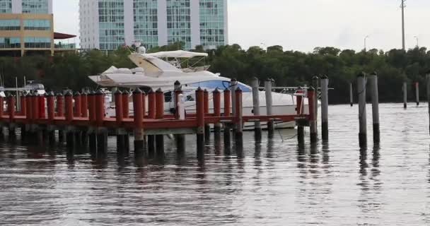 Miami Floride États Unis Février 2019 Bateau Moteur Luxe Blanc — Video