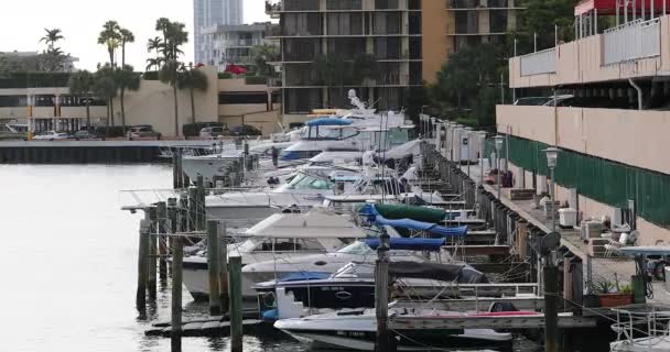 Miami Florida Usa Februari 2019 Många Båtar Uppradade Hamnen Vid — Stockvideo