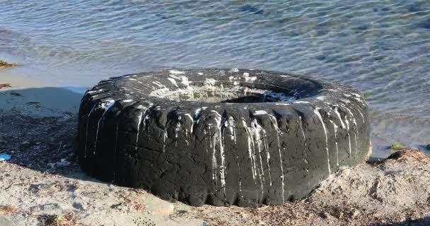 ブルガリア ヨーロッパ 海水の汚染 黒海沿岸の海岸線に放棄された中古トラックのタイヤ クローズアップビュー Dci 4Kビデオ — ストック動画