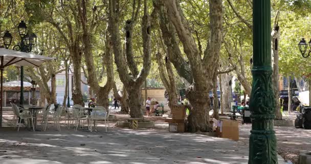 Saint Tropez Franciaország Szeptember 2019 Gyönyörű Place Des Lices Saint — Stock videók