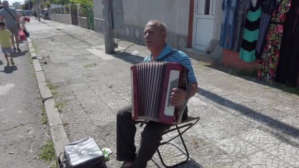 Kableshkovo Bulgaria Agosto 2019 Músico Callejero Gitano Cantando Tocando Acordeón — Vídeos de Stock