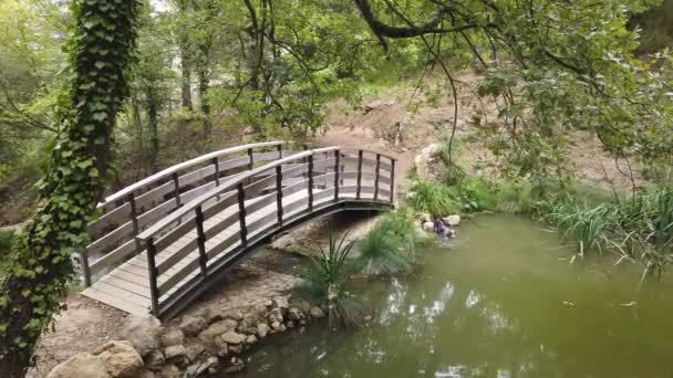 Pont Bois Avec Chien Baignade Dans Étang Dans Nature Dans — Video