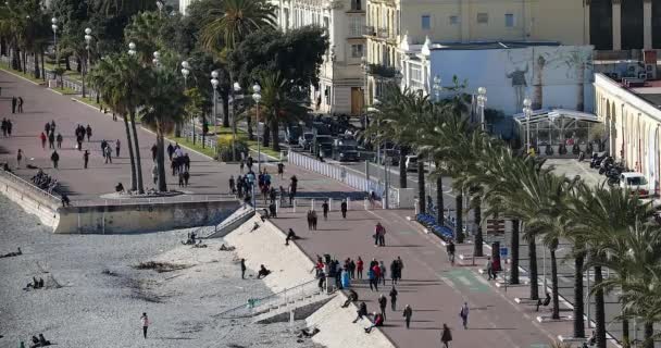 Nicea Francja Lutego 2019 Top View Promenade Des Anglais Palm — Wideo stockowe