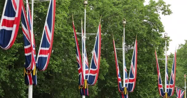 Flagi Zjednoczonego Królestwa Przed Pałacem Buckingham Zielonymi Liśćmi Drzew Tle — Wideo stockowe