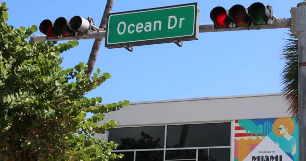 Miami Florida Estados Unidos Febrero 2019 Ocean Drive Street Sign — Vídeo de stock