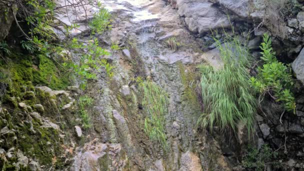 Small River Flowing Rock Wall French Alps France Europe Uhd — Stock video