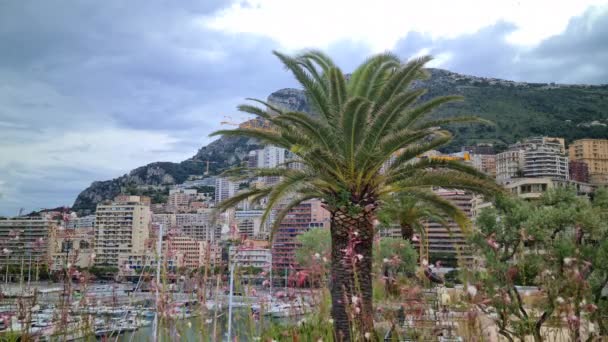 Piękny Widok Monako Monte Carlo Drapacze Chmur Port Góra Tarasu — Wideo stockowe