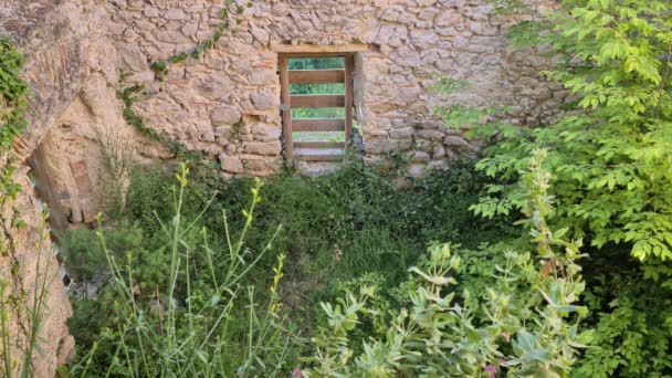 Végétation Intérieur Des Ruines Une Maison Pierre Abandonnée Dans Montagne — Video