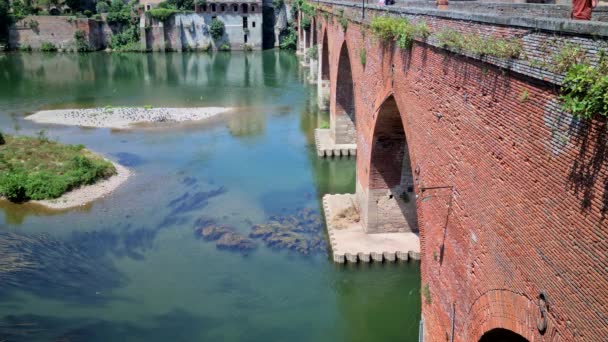 Pont Vieux Ponte Vecchio Sul Fiume Tarn Albi Sud Della — Video Stock