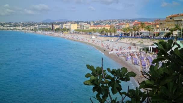 Nice França Agosto 2020 Fig Tree Mediterranean Sea Beaches Promenade — Vídeo de Stock