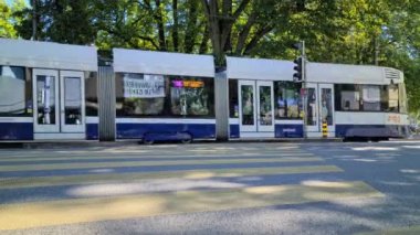 Cenevre, İsviçre - 14 Ağustos 2020: 8K Modern Tramvay Cenevre, TPG Cenevre Toplu Taşımacılık (Fransızca: Transports Publics Genevois) Şehir Merkezi, İsviçre, Avrupa - 8K UHD (7680 x 4320))