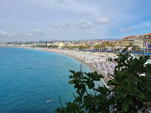 Nice France August 2020 Fig Tree Mediterranean Sea Beaches Promenade — Stock Photo, Image