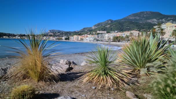 Kaktüsü Akdeniz Kıyısında Fransız Rivierası Ndaki Menton Şehrinde Uhd 7680 — Stok video
