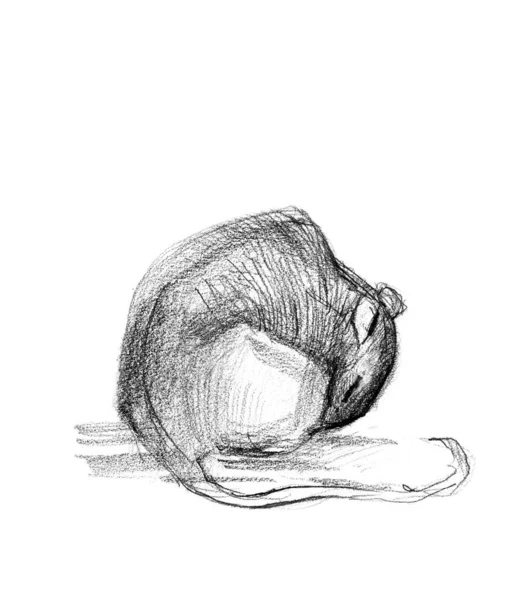 Hand Drawn Sketch Mouse — Stock Photo, Image