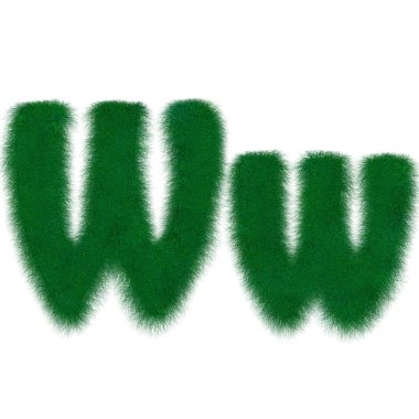 Yosun ipliği harfi W