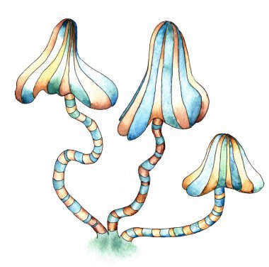 Suluboya tuhaf tekir mantarlar.