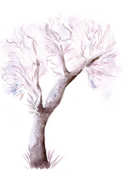 Watercolor Winter Bare Tree — Stock Photo, Image
