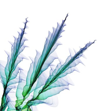 Soyut şeffaf dalgalarla iş şablonu veya kapağı