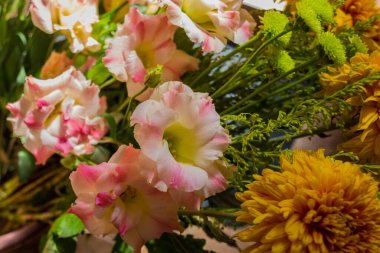 Pembe Eustoma çiçekleri. Bu çiçekler genellikle Lisianthus çiçekleri olarak bilinir..