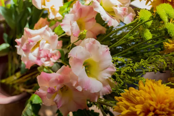 Różowe Kwiaty Eustoma Kwiaty Powszechnie Znane Jako Lisianthus Kwiaty — Zdjęcie stockowe