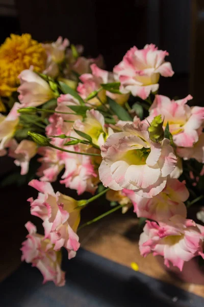 Różowe Kwiaty Eustoma Kwiaty Powszechnie Znane Jako Lisianthus Kwiaty — Zdjęcie stockowe