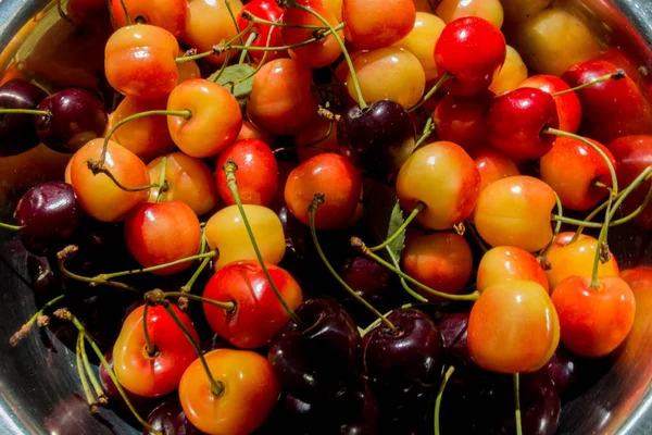 Kirschfrüchte Schale — Stockfoto