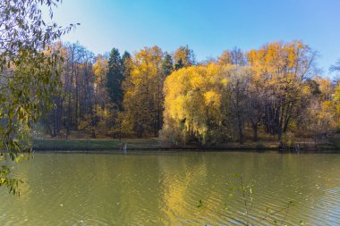 Parktaki gölete panoramik manzara, Moskova 'da sonbahar