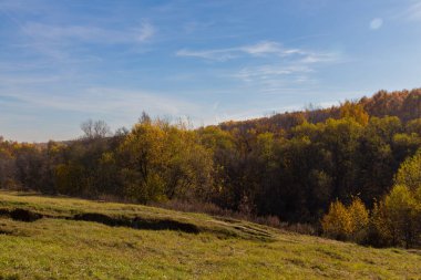 Sonbaharda parkta manzara manzarası