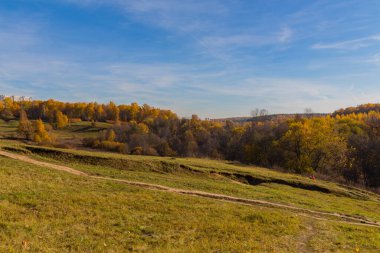Sonbaharda parkta manzara manzarası