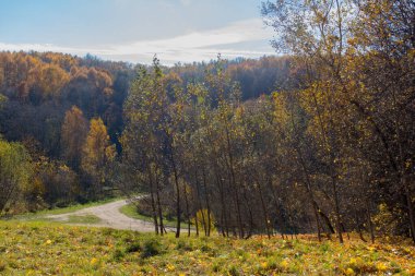 Sonbaharda parkta manzara manzarası