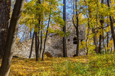 MOSCOW, RUSSIA - 16 Ekim 2018: Moskova 'daki Tsaritsyno Park' taki kule harabesi. Tsaritsyno, bir saray kompleksi, göletler ve orman alanı ile popüler bir kent simgesidir..