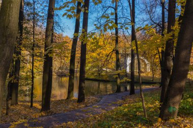 Parktaki yol ve adanın kemeri, altın sonbahar