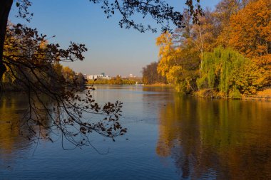 Moskova 'daki sonbahar parkı ve gölet manzarası, altın sonbahar.